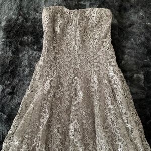 NWT: Silver/Shiny Lace Cache Dress